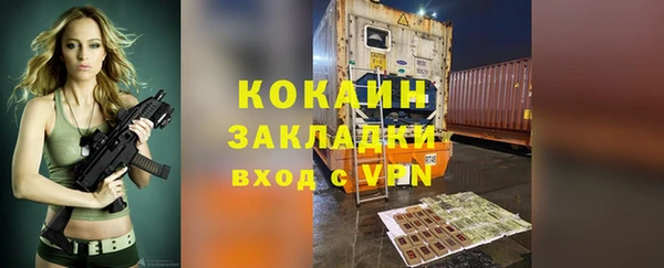 стаф Алзамай