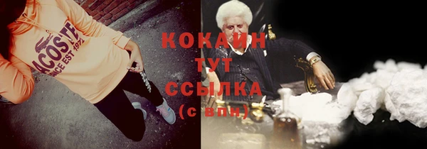 шишки Алексин