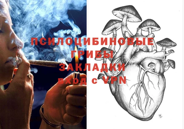 ПСИЛОЦИБИНОВЫЕ ГРИБЫ Абинск