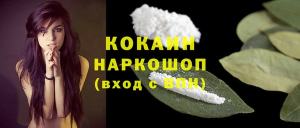 шишки Алексин