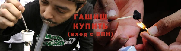 стаф Алзамай