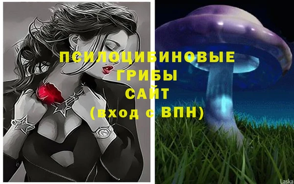 шишки Алексин
