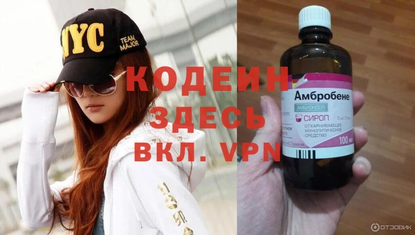 стаф Алзамай