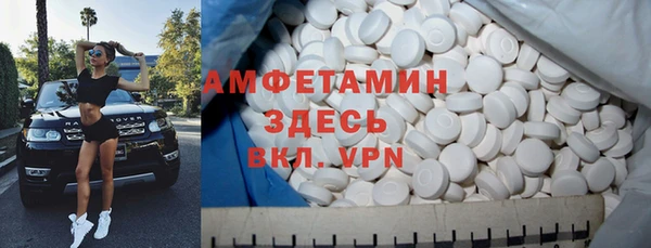 стаф Алзамай