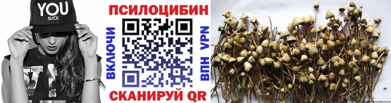 ссылка на мегу   Солнечногорск  Псилоцибиновые грибы ЛСД 